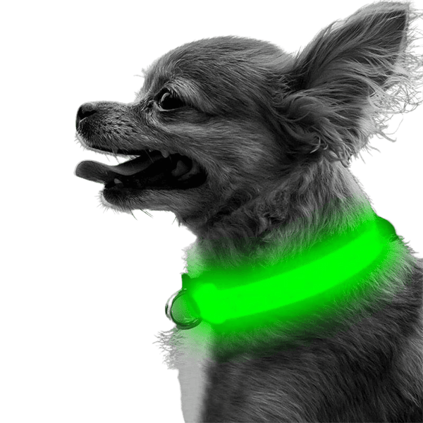 PUPPY LED COLLAR - Coleira de led para pets. - TiPaparico